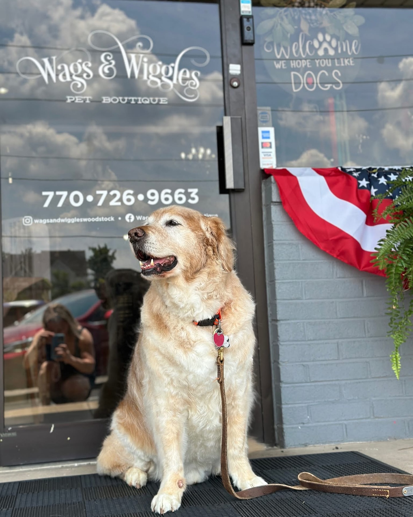 Wags & Wiggles Pet Boutique storefront