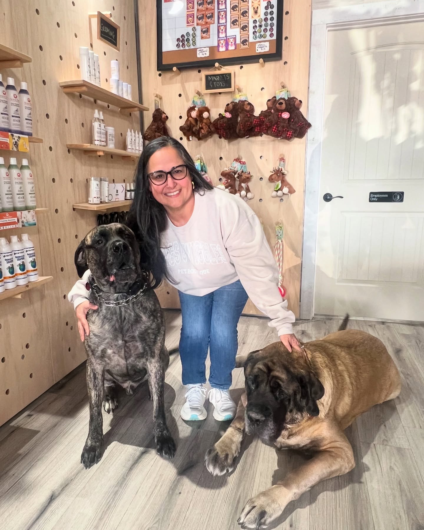 Happy groomed dog at Wags & Wiggles