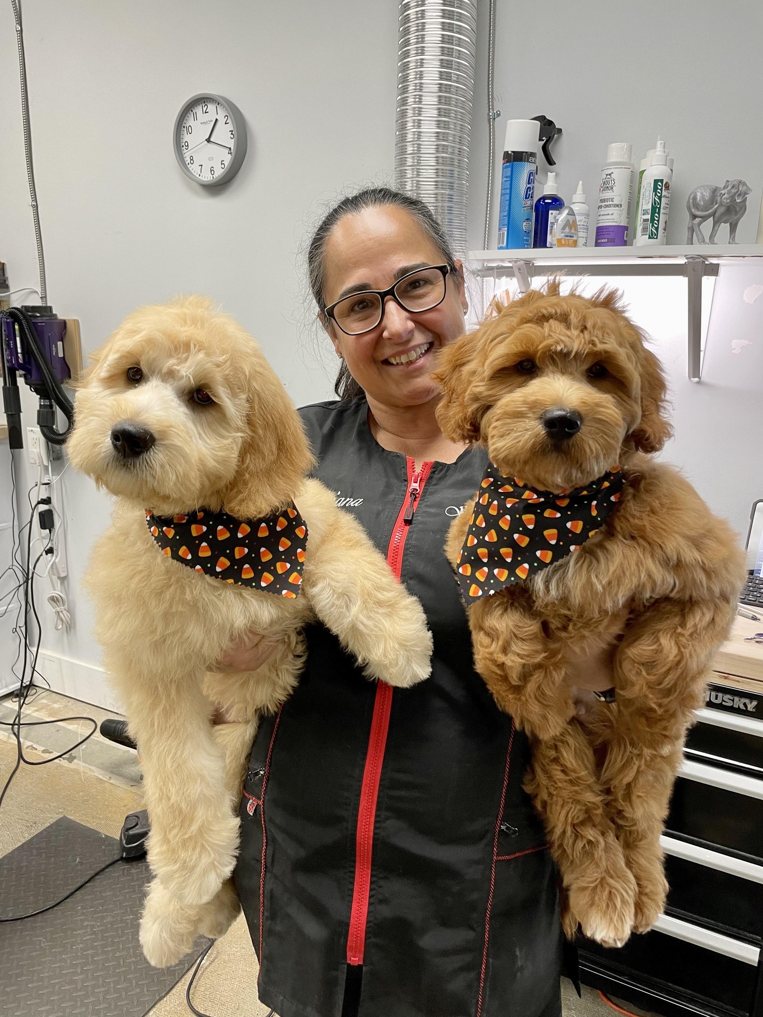 Groomer with dogs