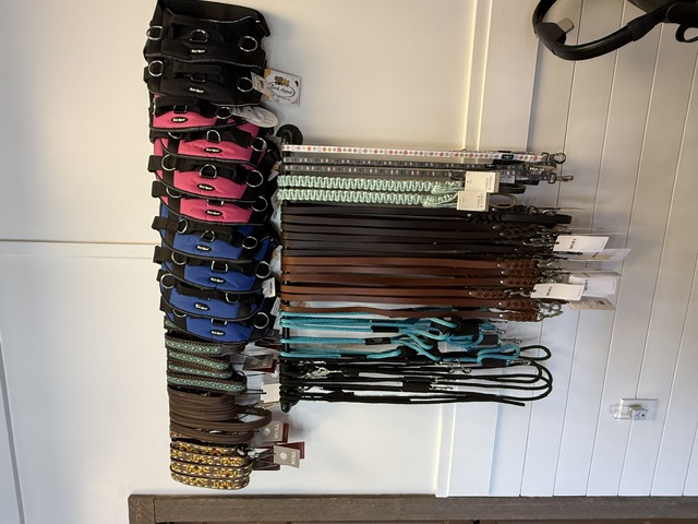 Wall of dog collars, leashes and harnesses
