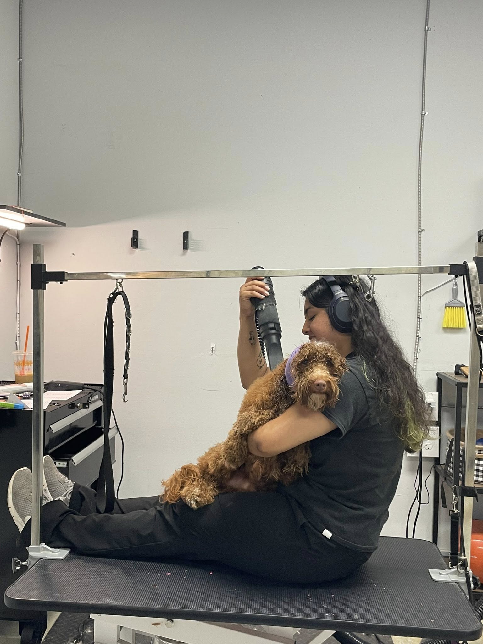 Groomer giving personal care to a pet