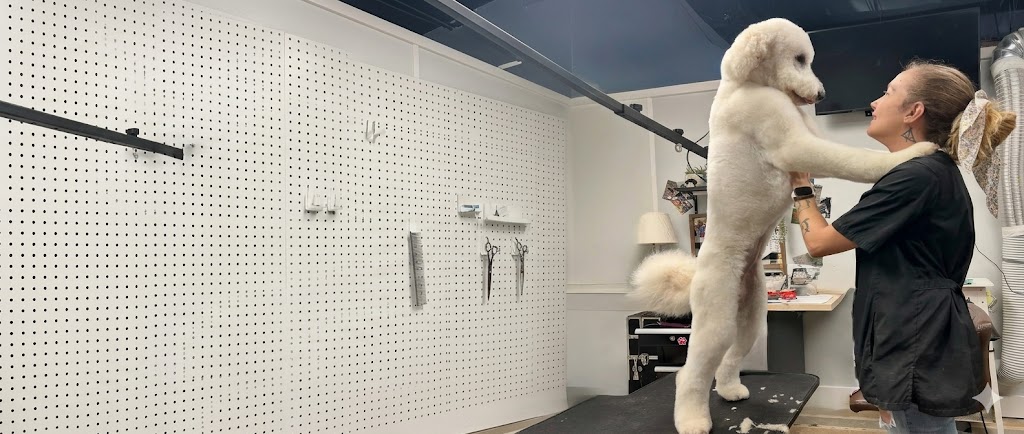 Wags & Wiggles groomer with a happy dog