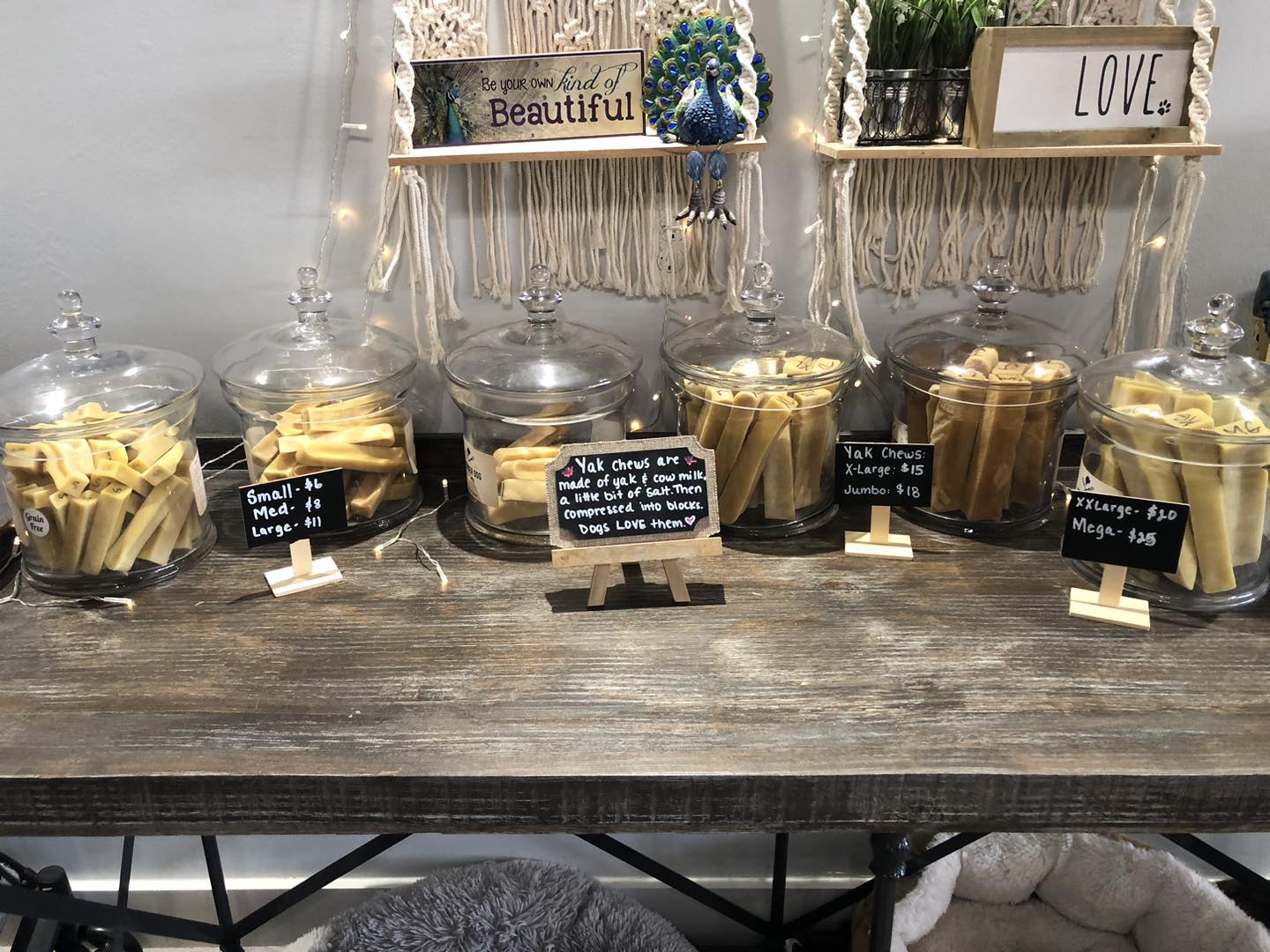 Artisan pet bakery treats